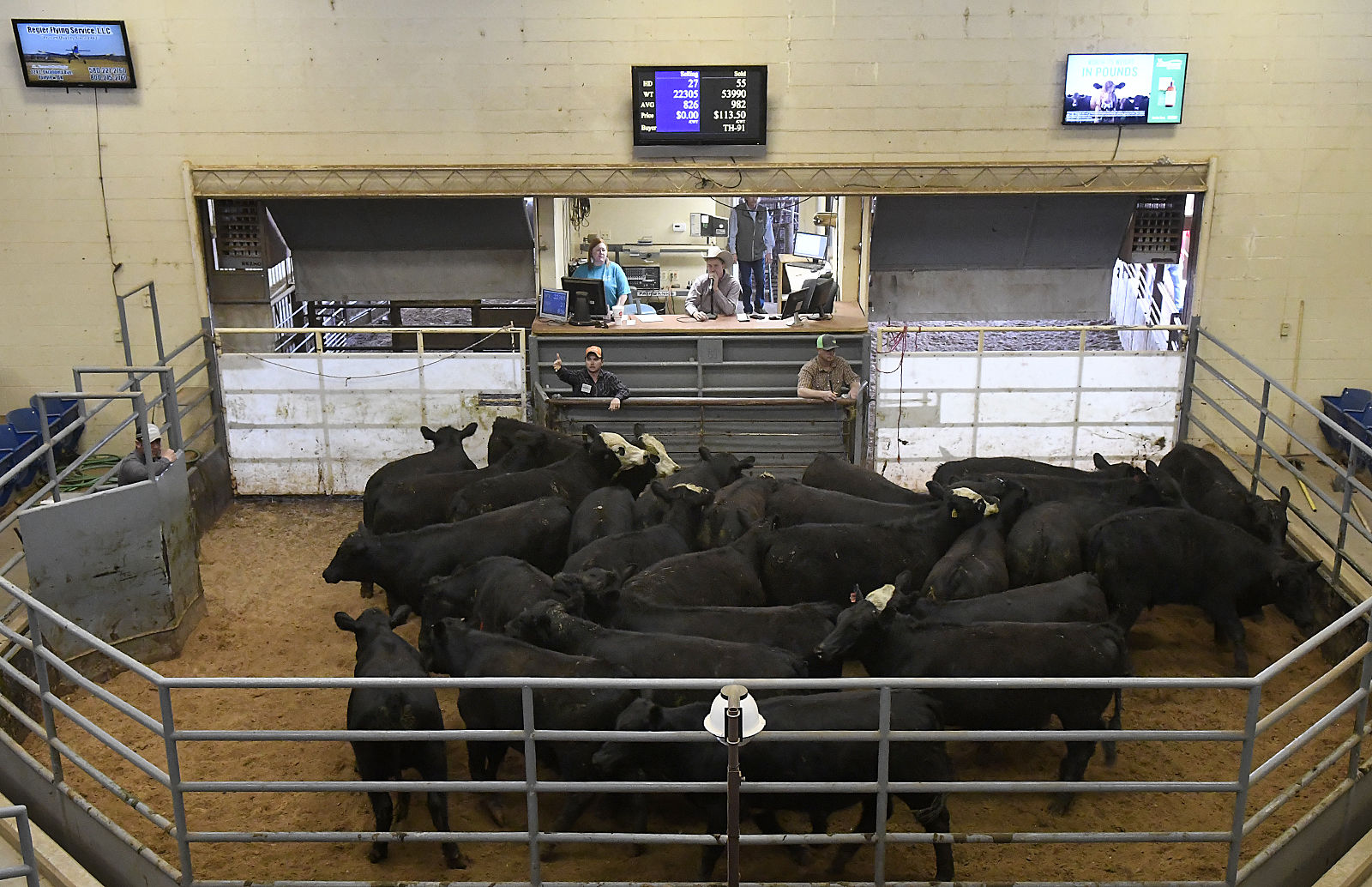 Progress Enid Livestock 2 BH.jpg